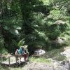 peters creek 1